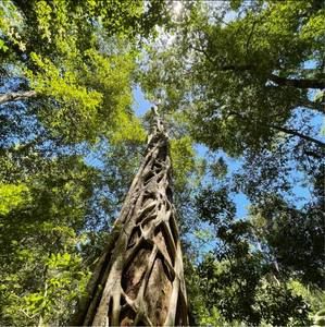 Meet your Posher, Jo